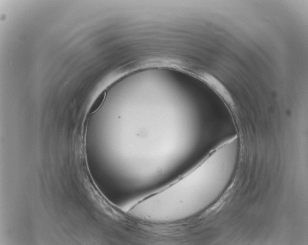 X0000061151052200511210956