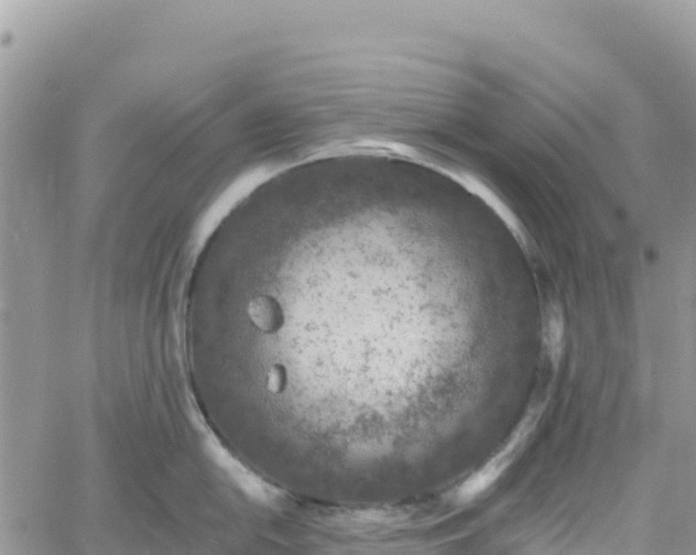 X0000061151054200511210956