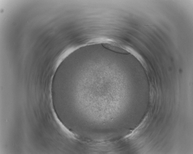 X0000061151055200511210956