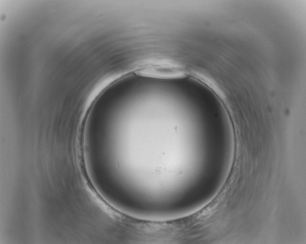 X0000061151056200511210956