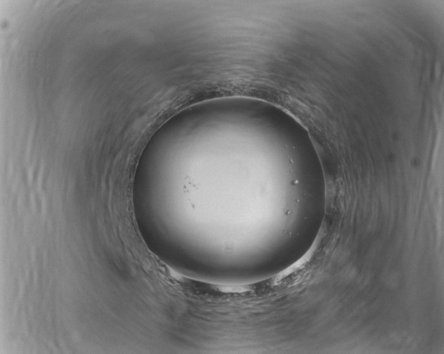 X0000061151057200511210956