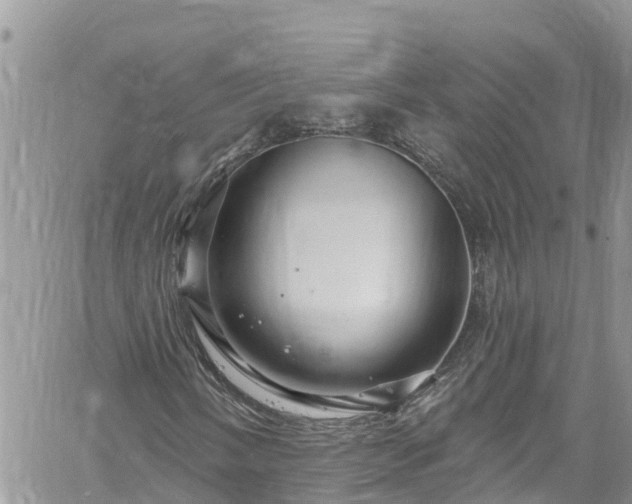 X0000061151058200511210956