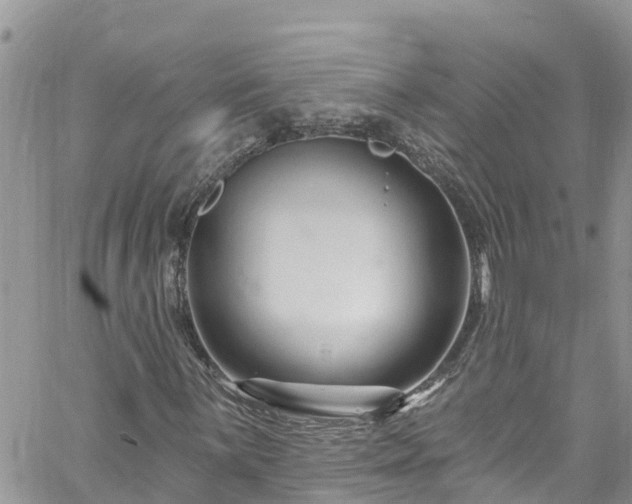 X0000061151059200511210956