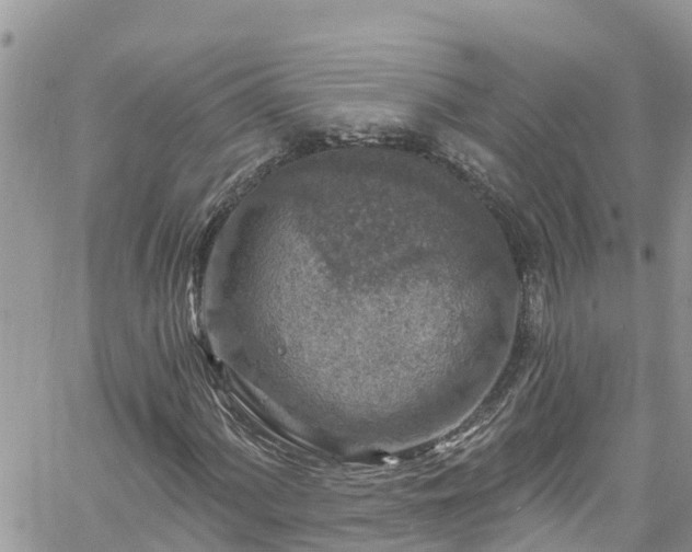 X0000061151060200511210956