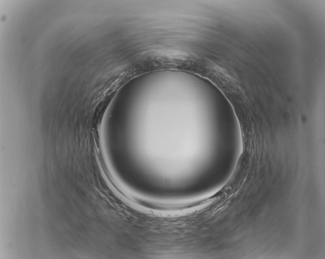 X0000061151061200511210956