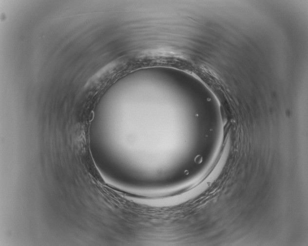 X0000061151062200511210956