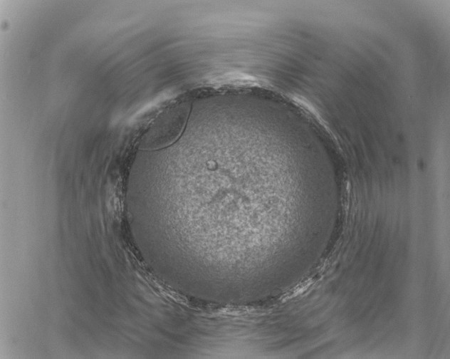 X0000061151063200511210956