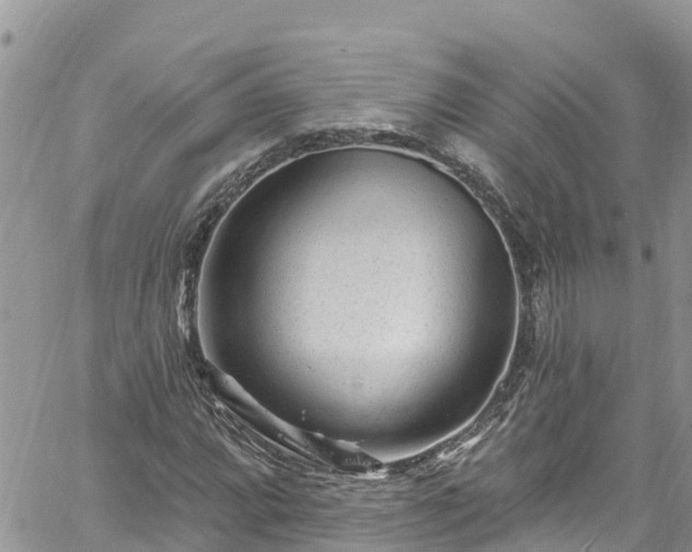 X0000061151064200511210956