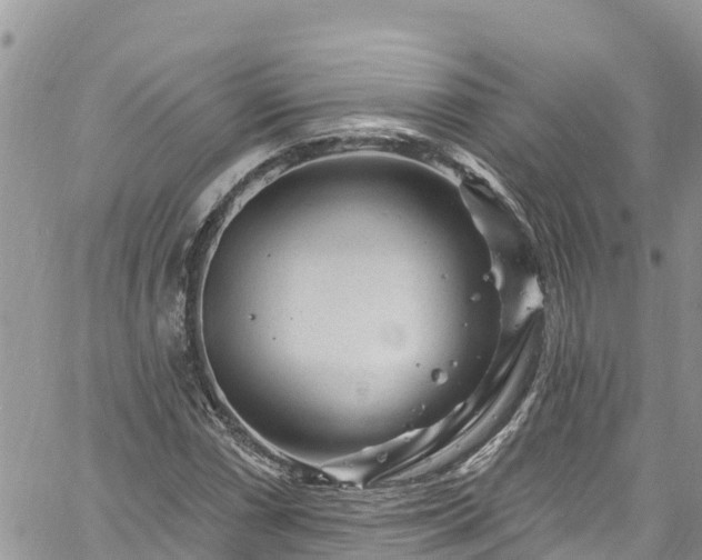 X0000061151066200511210956