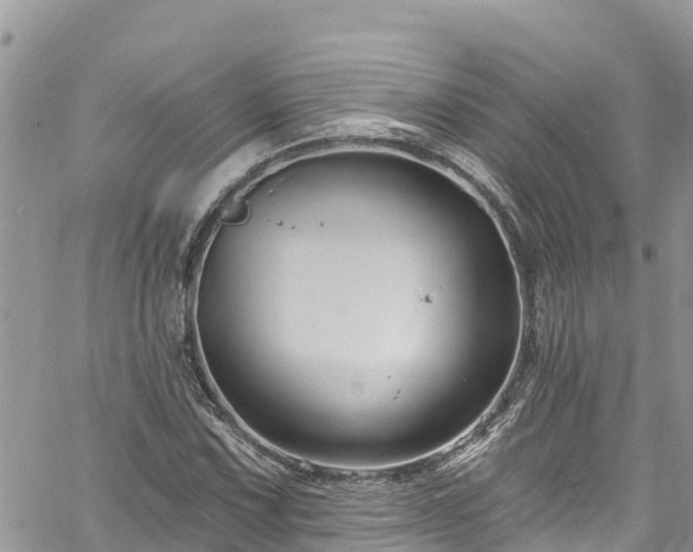 X0000061151067200511210955