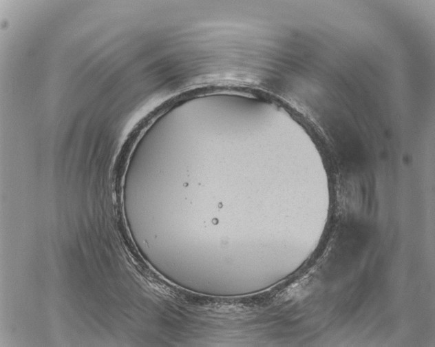 X0000061151070200511210955