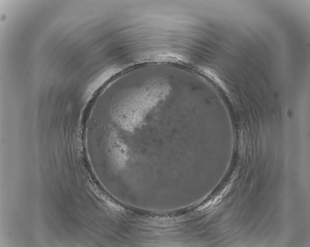 X0000061151071200511210955