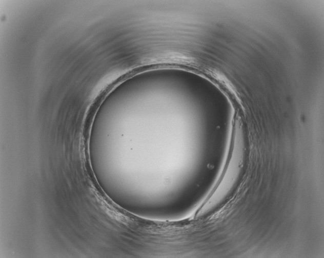 X0000061151072200511210955