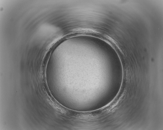 X0000061151074200511210955