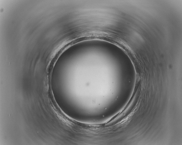 X0000061151075200511210955