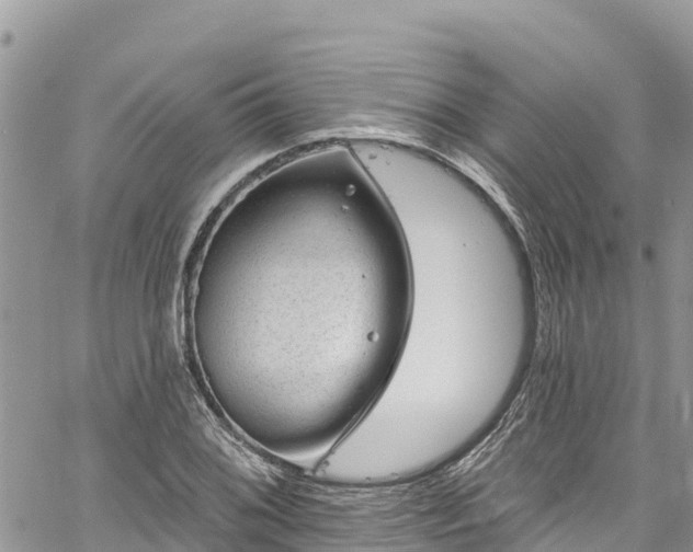 X0000061151076200511210955