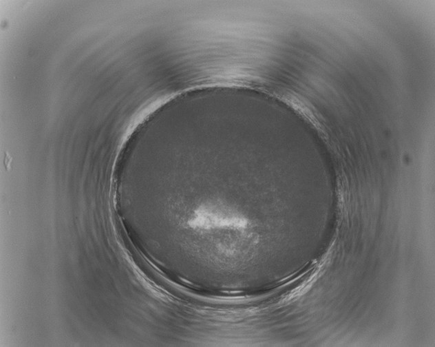 X0000061151077200511210955