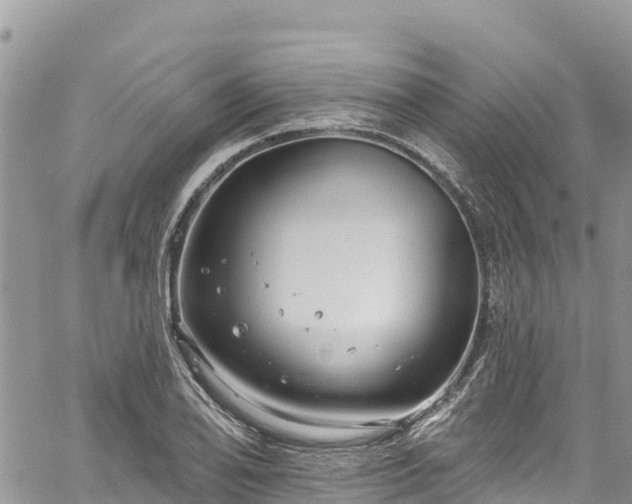 X0000061151078200511210955