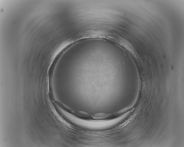 X0000061151079200511210955