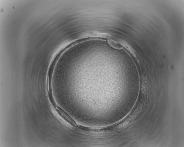 X0000061151080200511210955