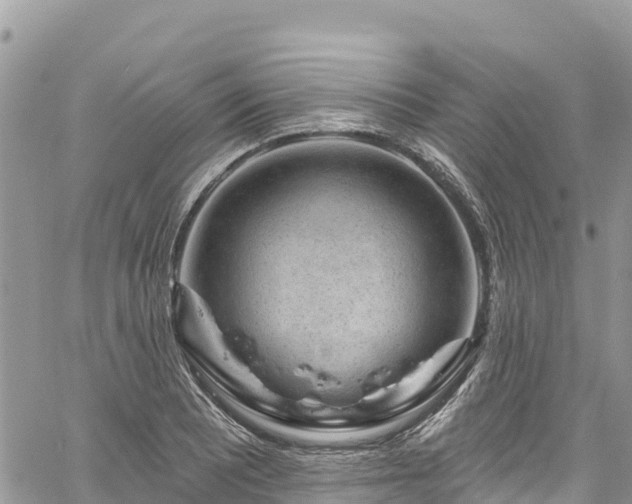 X0000061151081200511210955