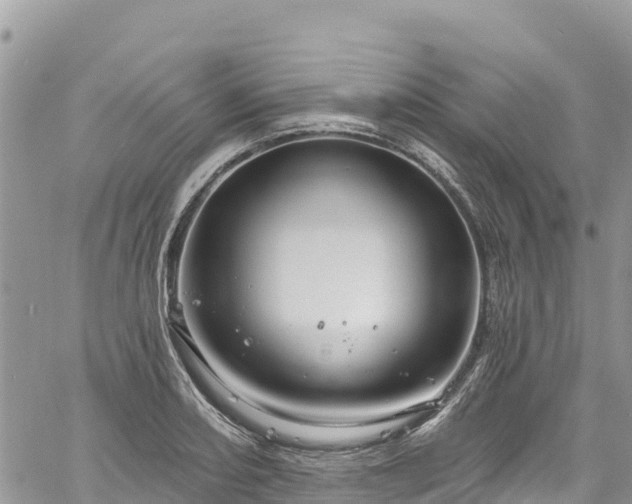 X0000061151082200511210955