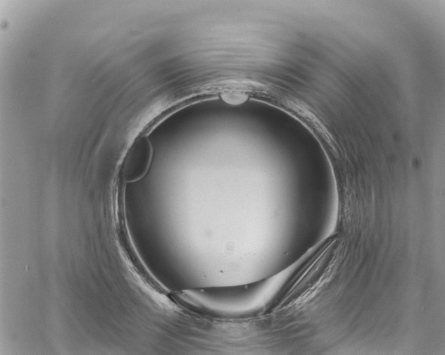 X0000061151083200511210955