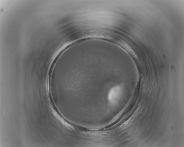 X0000061151084200511210955