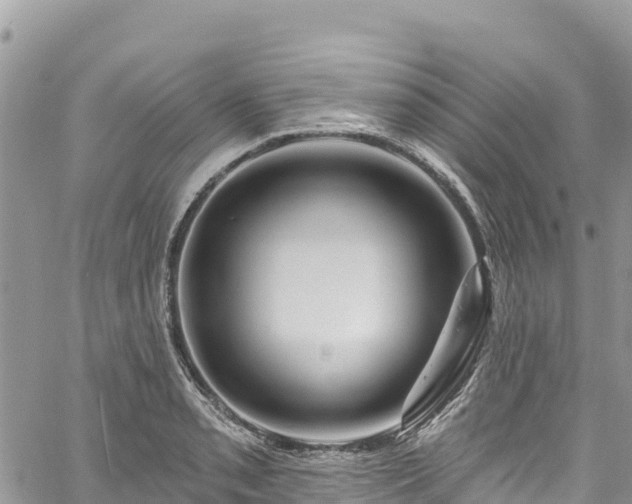 X0000061151085200511210955