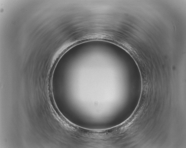 X0000061151086200511210955