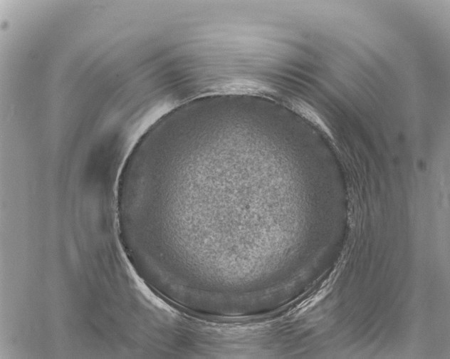 X0000061151087200511210955