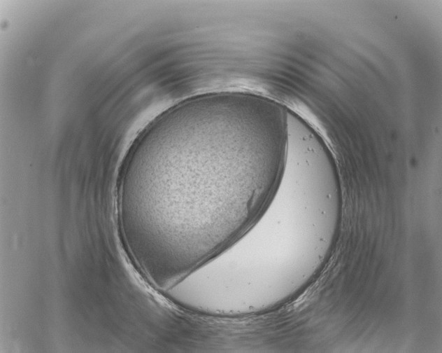 X0000061151088200511210955