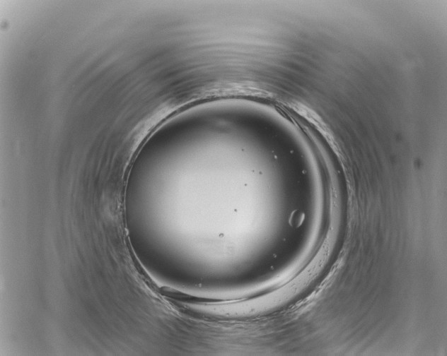 X0000061151089200511210955