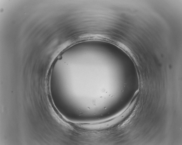 X0000061151090200511210955