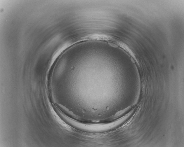 X0000061151091200511210955