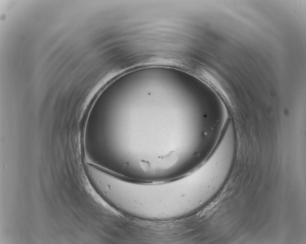 X0000061151092200511210955