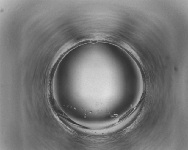 X0000061151093200511210955