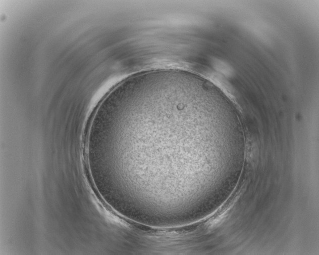 X0000061151094200511210955