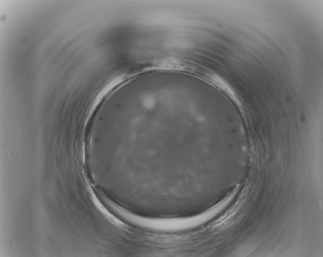 X0000061151095200511210955