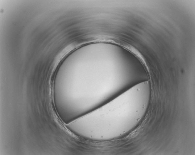 X0000061151096200511210955