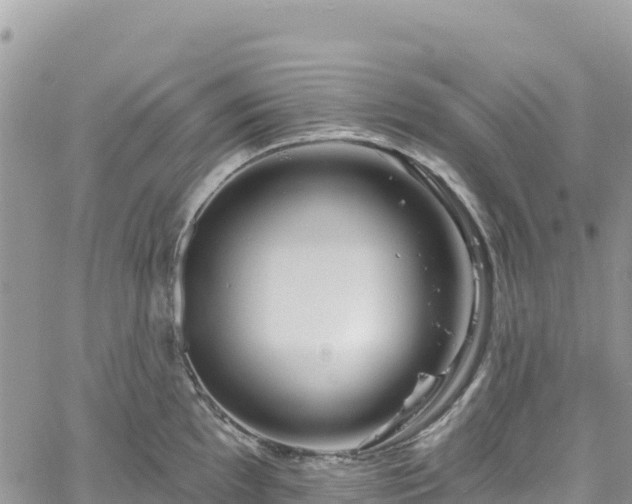 X0000061151097200511210955