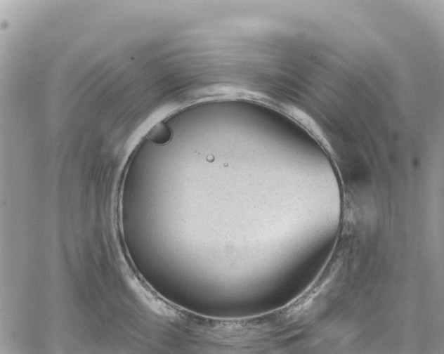 X0000061151098200511210955