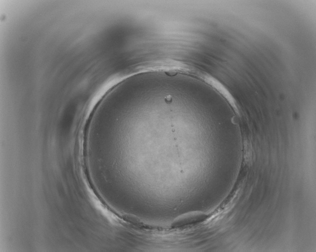 X0000061151099200511210955