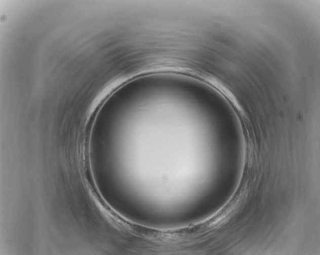 X0000061151101200511210955