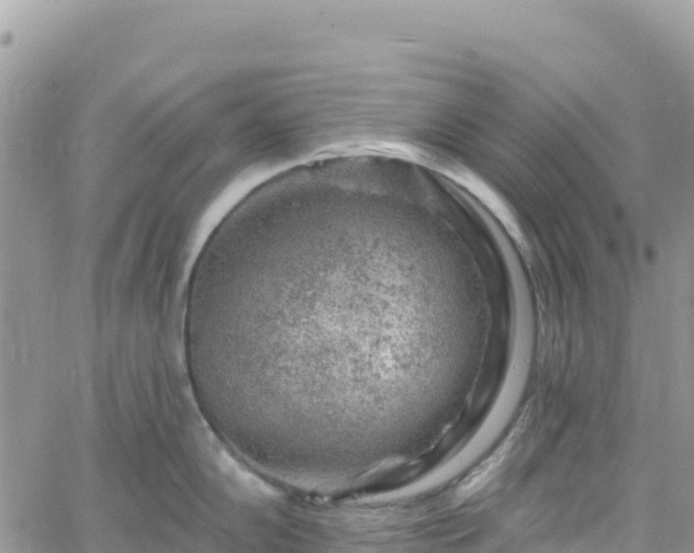 X0000061151102200511210955