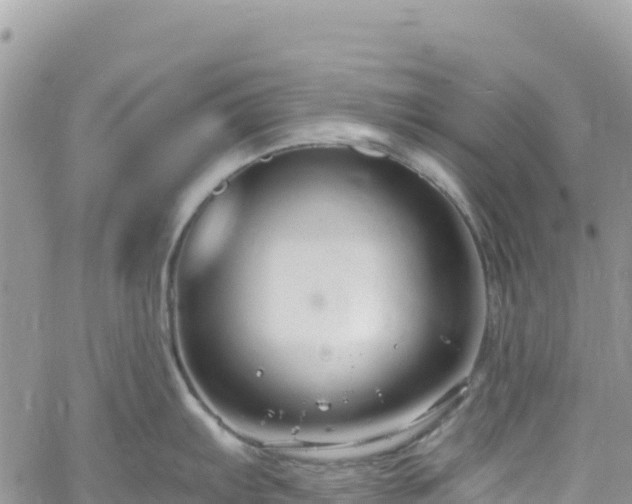 X0000061151103200511210955