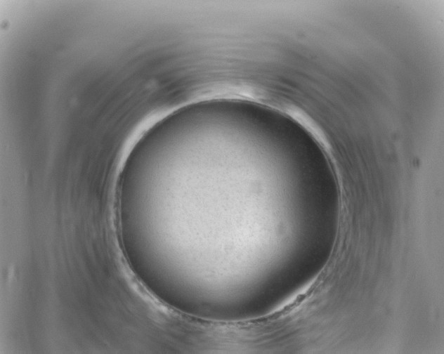 X0000061151104200511210955