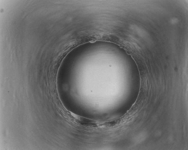 X0000061151105200511210954