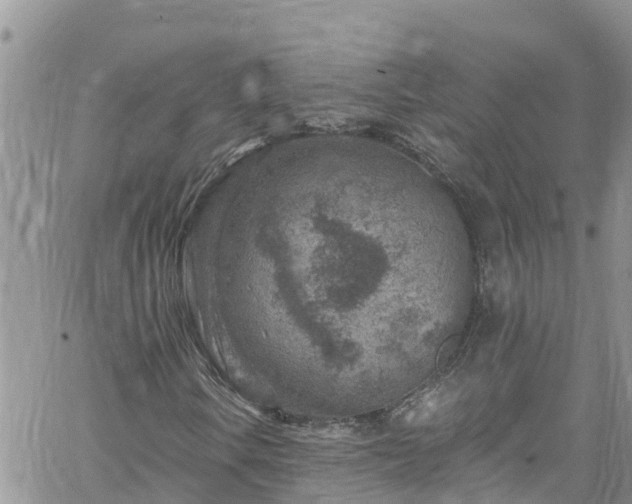 X0000061151106200511210954