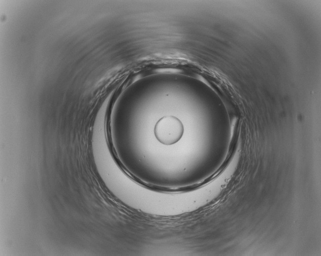 X0000061151110200511210954